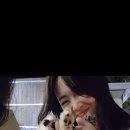 오하브글램핑 이미지