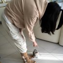 쥬쥬비