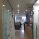 둔산북로 이미지