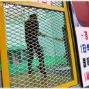 스타워즈 게임랜드 이미지