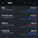 위성상회 이미지