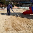 해안초교병설 이미지