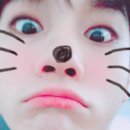 짱이야 Daum카페