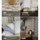 엠엠케이(주) 이미지