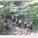 번개여행도보 삼대사찰 (통도사, 해인사, 그리고 송광사) 순례와 길 걷기, 송광사, 세번째 마지막, 8월 11일 이미지