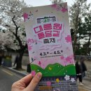 문화가스 | 2026년 경주 대릉원 돌담길 축제 (2026.04.03~05) 방문 후기 / 경주문화재단 시민SNS서포터즈
