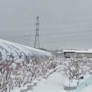 지영 농장 이미지