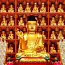 보덕사 소장 목조여래좌상 이미지