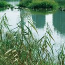 왕숙천로 이미지