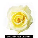 미리내의원 이미지