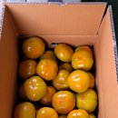 지희농장 이미지