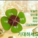 산호당약국 이미지