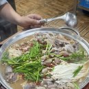 비래동매운족발 이미지