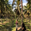 HOTEL POP | 치앙마이 진에어 레이밴 대디오 선셋요가 타이마사지 아리투어 후기 씁니다