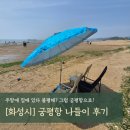 [궁평항] 서울 근교 바다, 아이랑 조개 줍고 피크닉하기 딱 좋은 곳! 주차 꿀팁, 차박 꿀팁