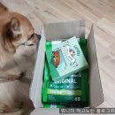 에코그리니즈 네이버블로그