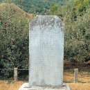 원곡천 | 충주 억정사지 대지국사탑비 이야기