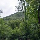 사기소천 이미지