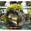 첨성대스파랜드 이미지