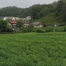 도화리농장 이미지