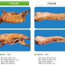조약도 흑염소
