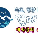 착한낚시 이미지