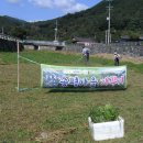 병곡면사무소 이미지