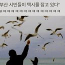 파크킹 이미지