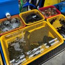 동해상회 이미지