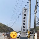 원조 순두부 이미지