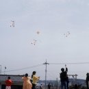 라이너스
