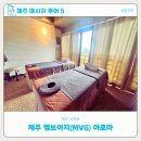 엠브이지(MVG) 이미지