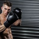 밴텀복싱 이미지