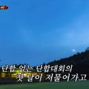 나나포차 이미지