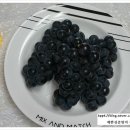 성준농장 이미지