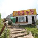 대관령 아기동물농장 이미지