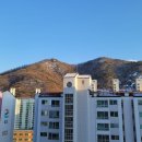 반도보라빌리지산책로 이미지