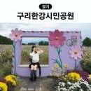 코스모스길14번길 | 경기도 가을 여행지 구리한강시민공원 코스모스 축제 실시간 주차 텐트