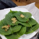 우리집삼식이무침