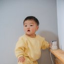 한동리브로콜리 이미지