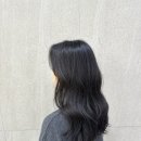 와이즈헤어 - 수원시 영통구 | 와이즈헤어