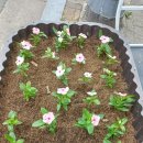 와동체육공원 사거리 이미지