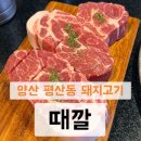 양산 돼지고기 맛집 때깔 덕계평산점 내돈내산 후기