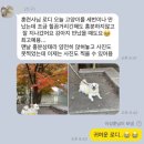 멍마르뜨 반려견 교육센터 | 용인 애견훈련 강아지 문제행동 교정 방문훈련으로 해결한 실제 사례 반려견 교육 후기