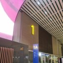 647 | [5박8일 발리 신혼여행] (1) 항공권 구매 후기 &amp; 대한항공 KE647 싱가포르 경유