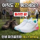 이지파크 | 2026년형 엑트온 이지무브 파크골프화 가격 및 후기: 부모님 무릎 보호 필수템