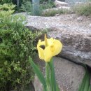 지동산촌마을 이미지