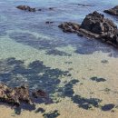 송가네 바다별장 이미지