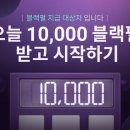 펄 이미지