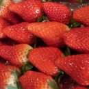 장희농장 이미지